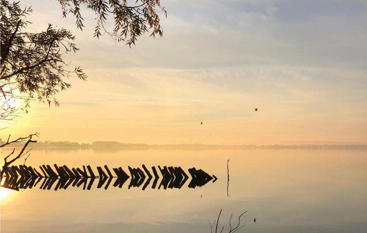 Amazing Home In Lembruch-Duemmer See With Sauna 외부 사진